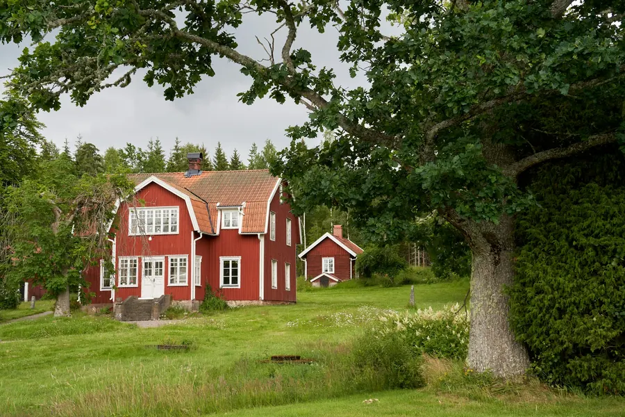Ett falurött trähus med vita knutar på en grön äng under en stor ek.
